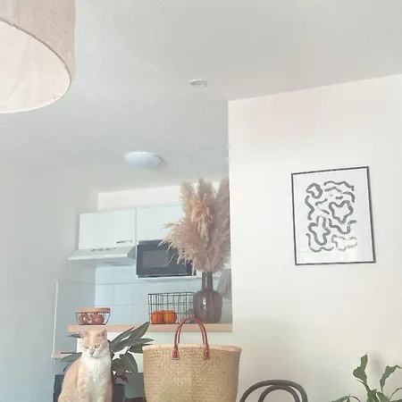 Apartamento Agreable De 37m2 *